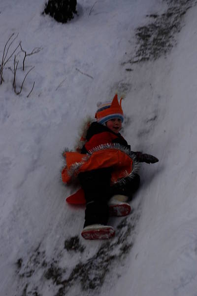 dsc_6989.nef.jpg