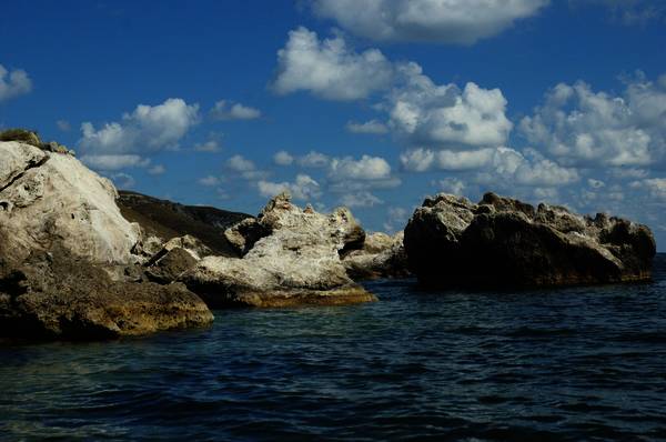 dsc_9603.jpg
