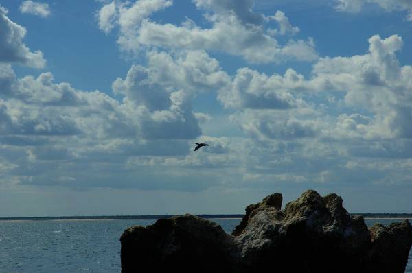 dsc_9556.jpg