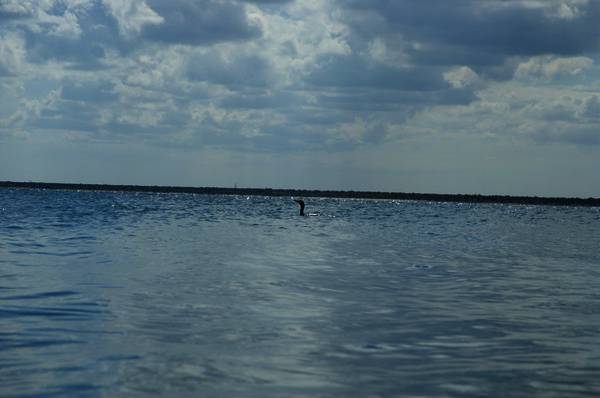 dsc_9604.jpg