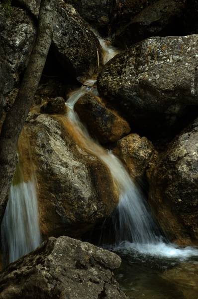 dsc_3023.jpg