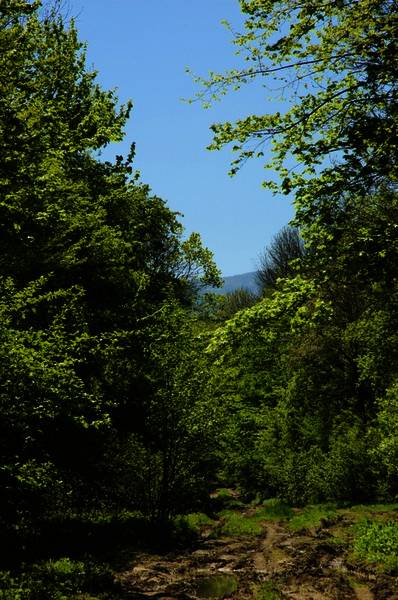 dsc_8178.jpg