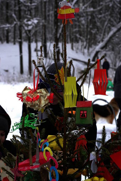 dsc_7039.nef.jpg
