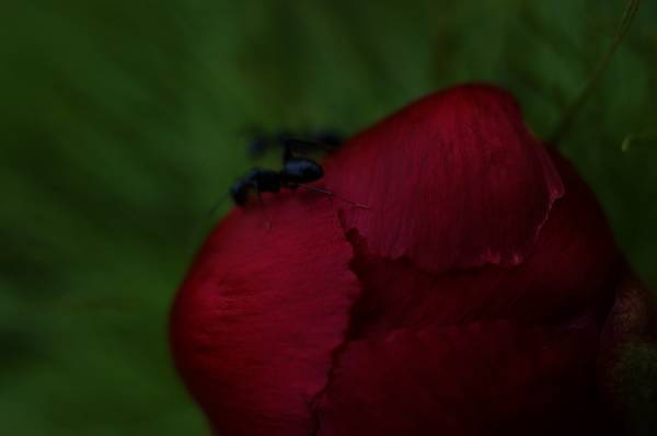 dsc_2967.jpg