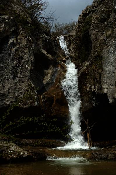 dsc_2724.jpg