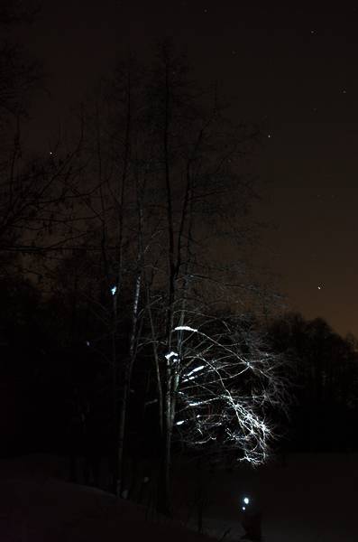 dsc_1875.jpg