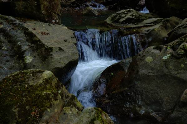 dsc_8315.jpg