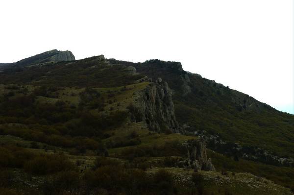 dsc_2884.jpg