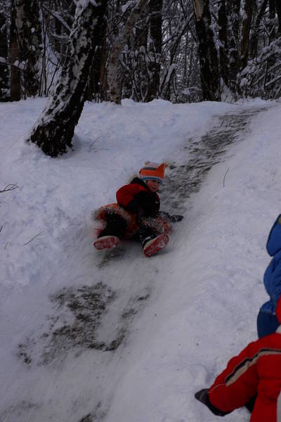 dsc_6986.nef.jpg