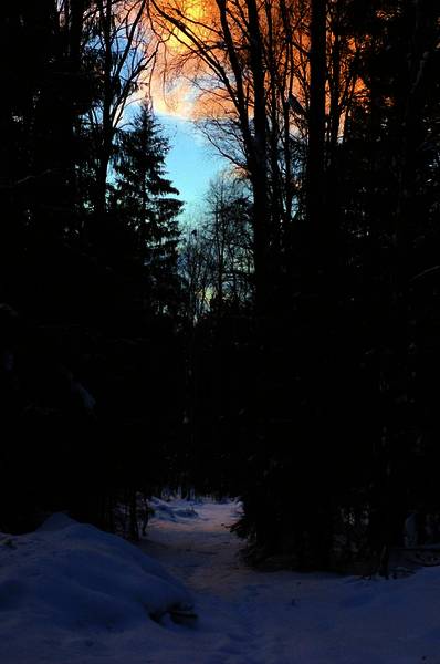 dsc_7426.jpg