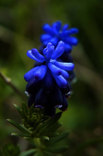 dsc_2882.jpg