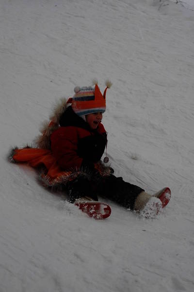 dsc_6982.nef.jpg