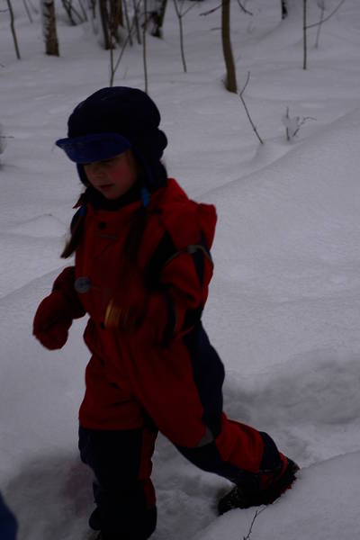 dsc_6972.nef.jpg