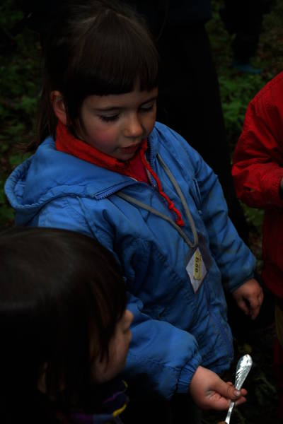 dsc_8711.jpg