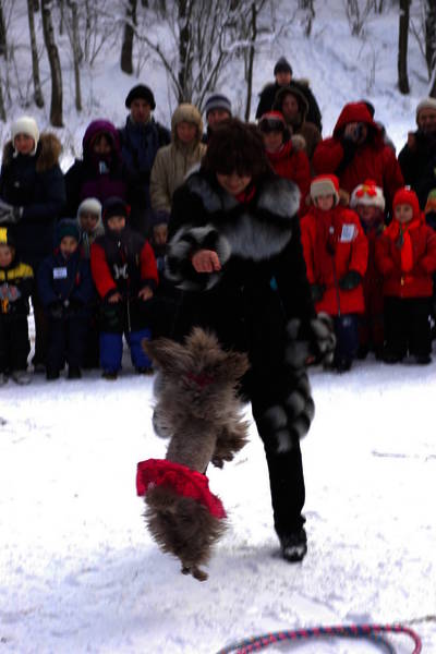 dsc_7029.nef.jpg