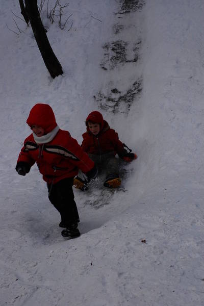 dsc_6988.nef.jpg