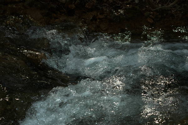 dsc_2755.jpg
